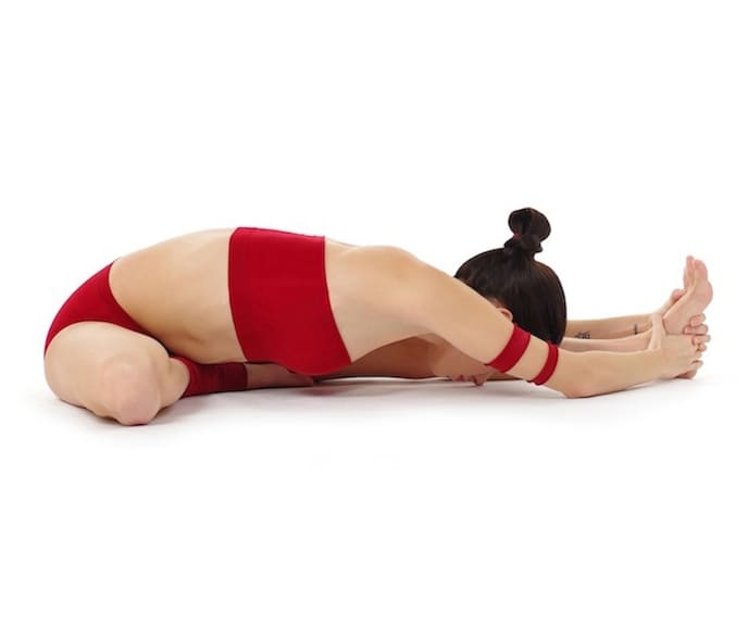 head to knee forward bend pose janu sirsasana